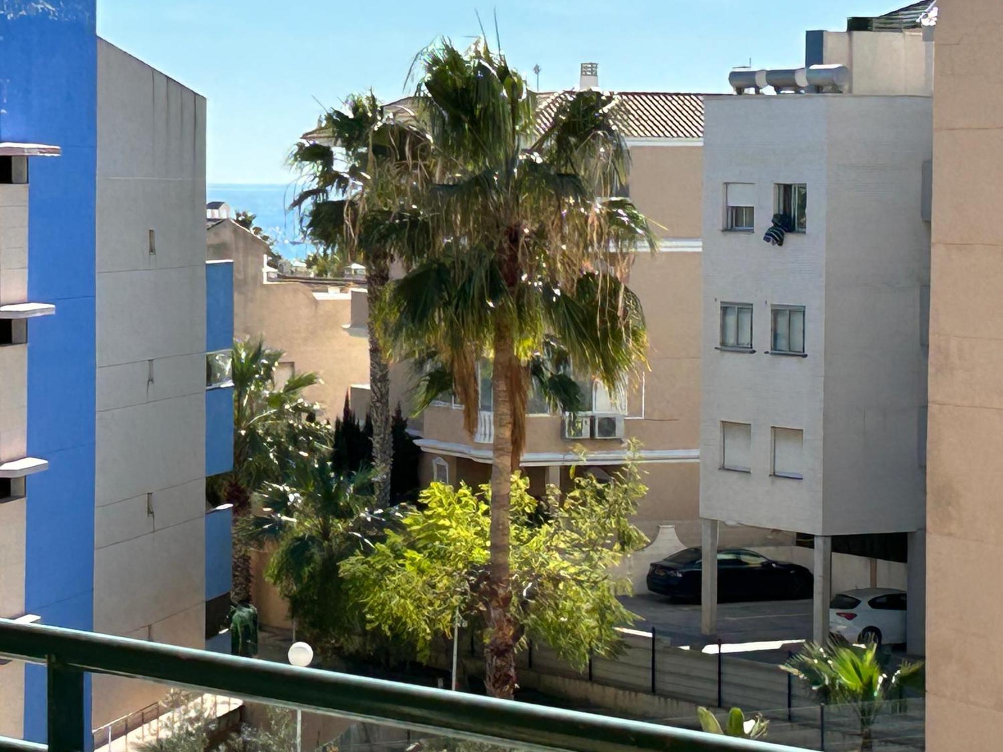 Sunny Paradise/el Paraiso Soleado *